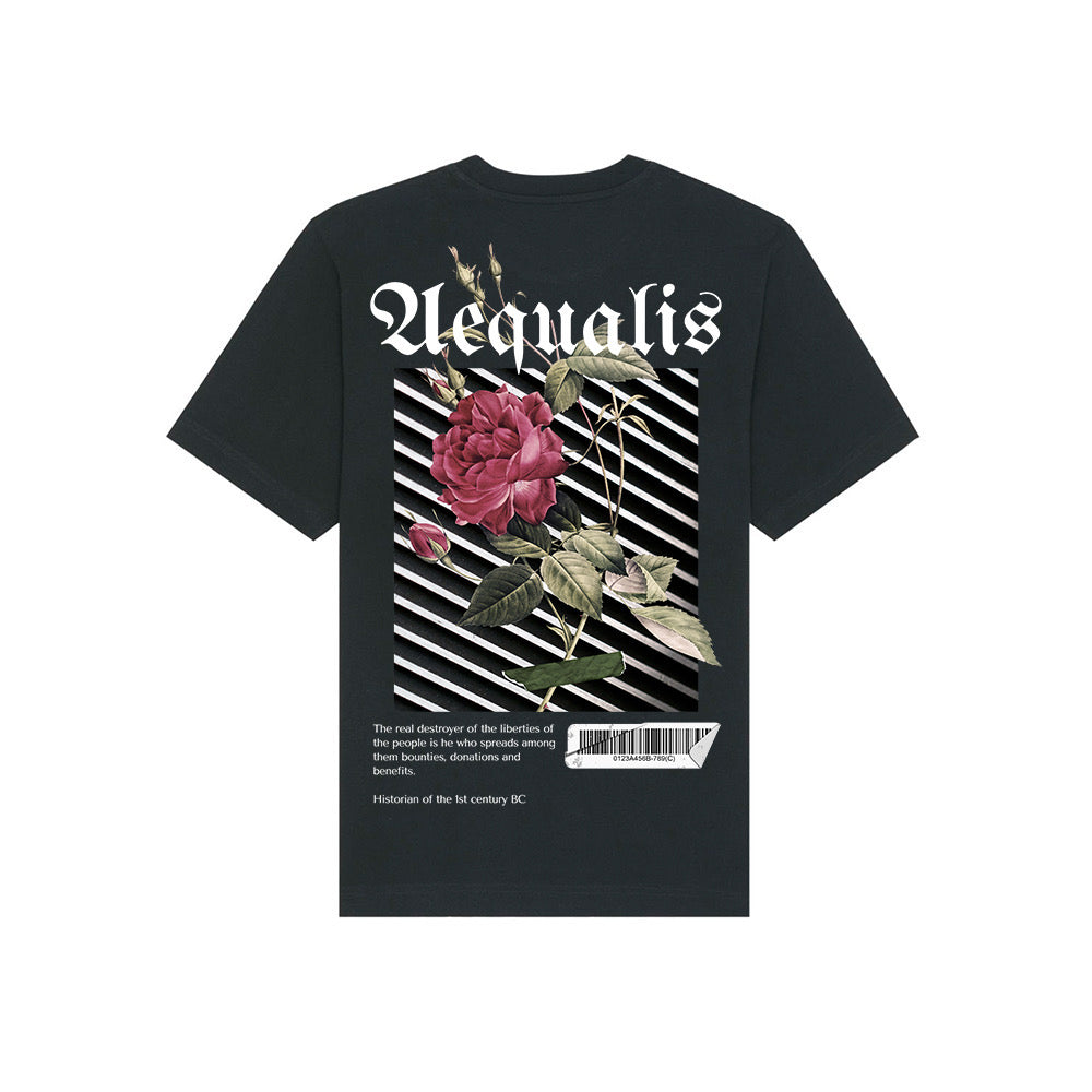 Aequalis oversized T