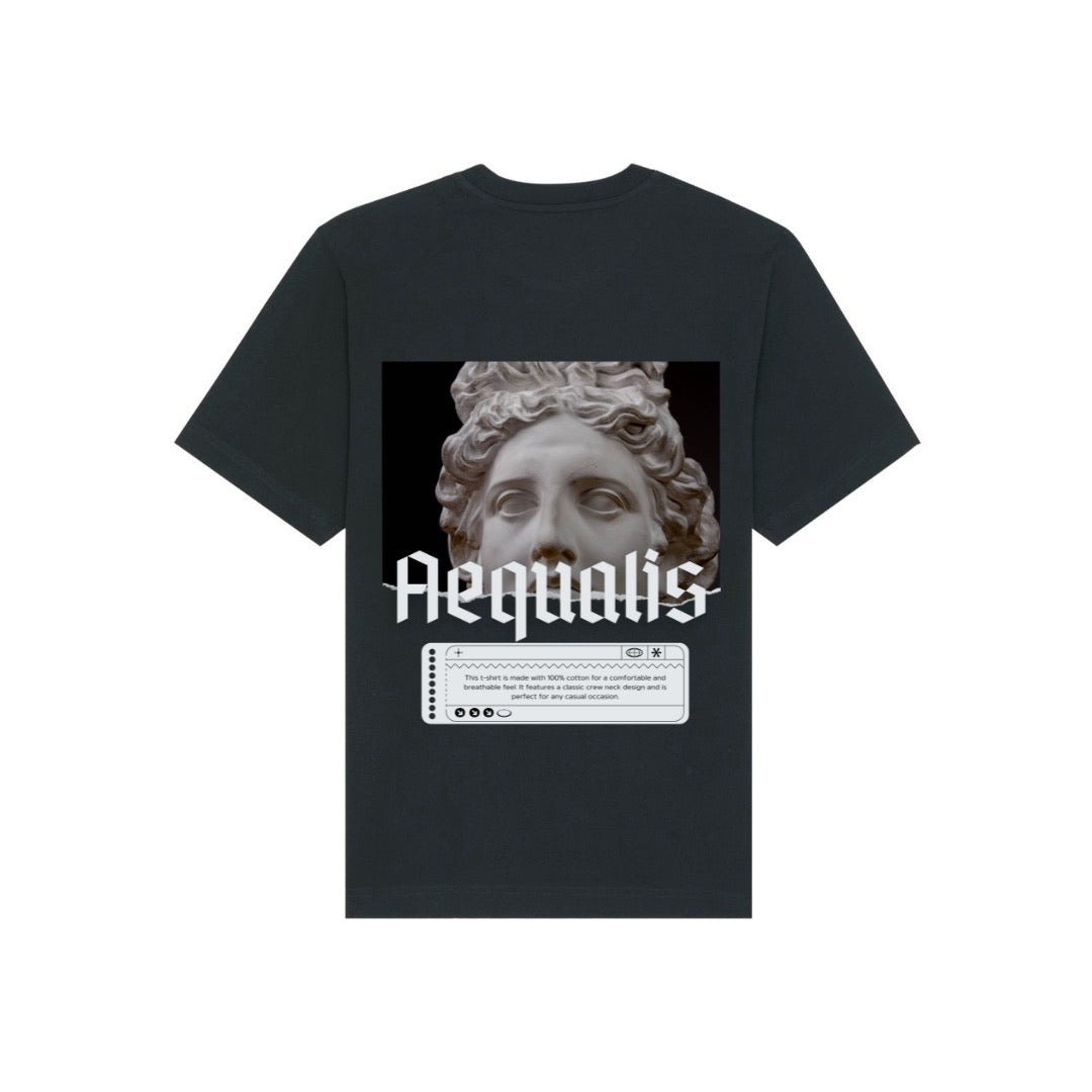 Aequalis oversized T