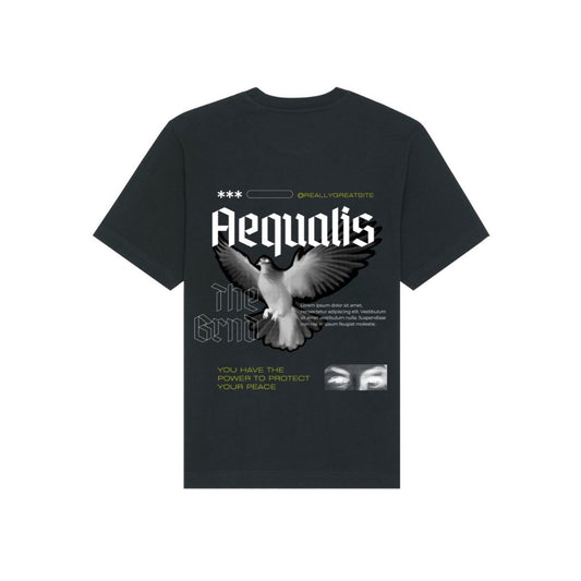 Aequalis oversized T